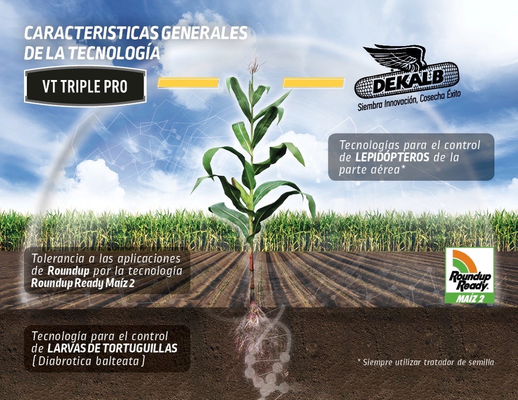 tecnologia yieldgard vt pro 3 dekalb