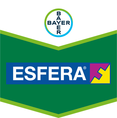 Esfera®