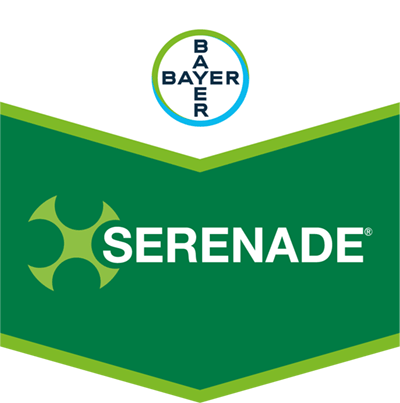 Serenade®