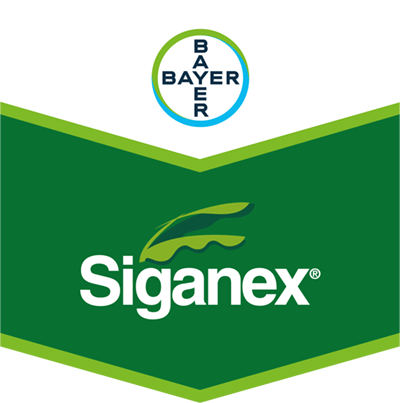 Siganex®